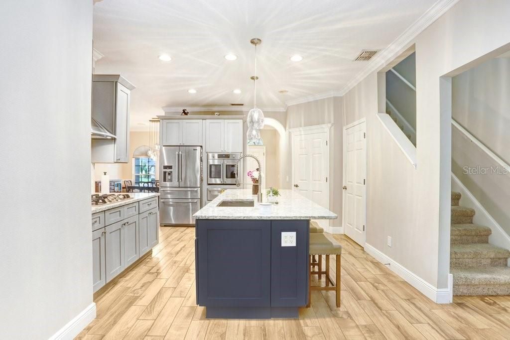 3915 Duke Firth Street, Land O Lakes, FL 34638 Photo