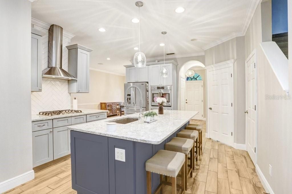 3915 Duke Firth Street, Land O Lakes, FL 34638 Photo