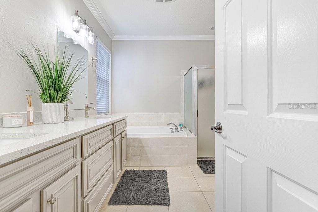 3915 Duke Firth Street, Land O Lakes, FL 34638 Photo