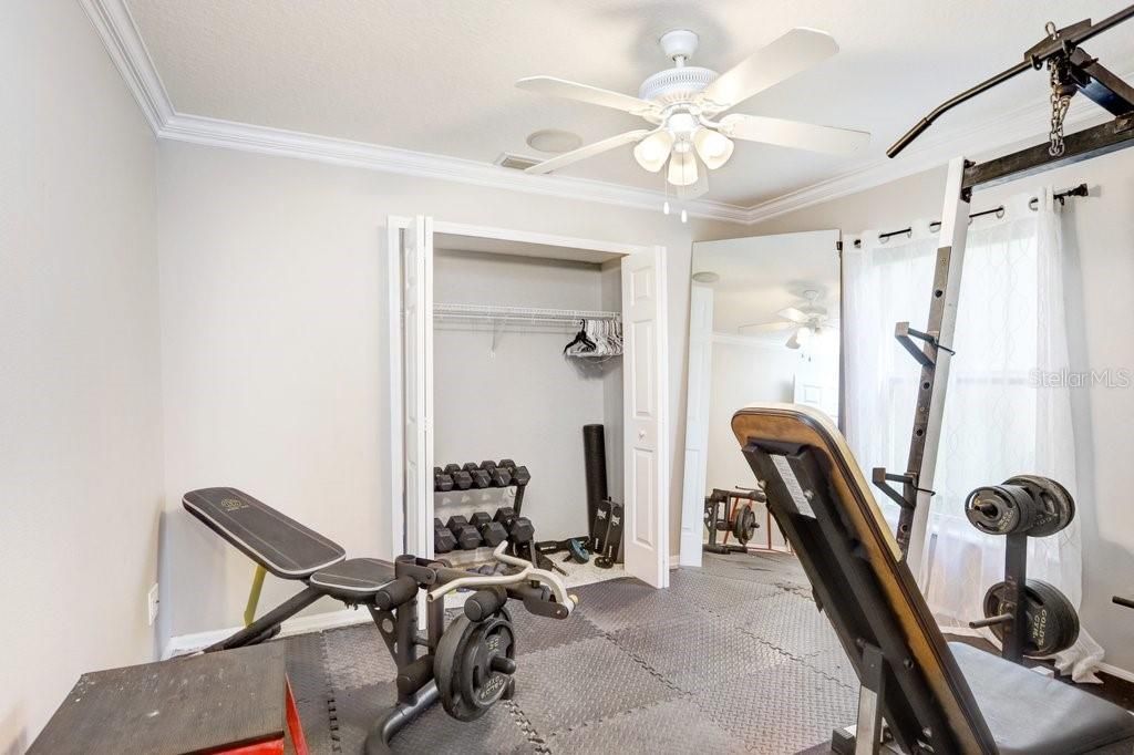 3915 Duke Firth Street, Land O Lakes, FL 34638 Photo