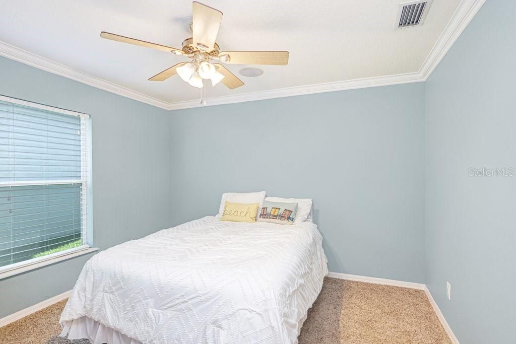 3915 Duke Firth Street, Land O Lakes, FL 34638 Photo