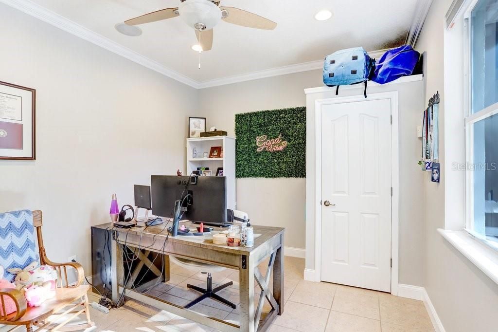3915 Duke Firth Street, Land O Lakes, FL 34638 Photo