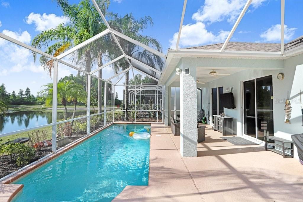 3915 Duke Firth Street, Land O Lakes, FL 34638 Photo