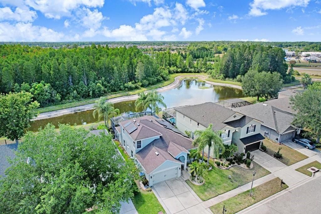 3915 Duke Firth Street, Land O Lakes, FL 34638 Photo