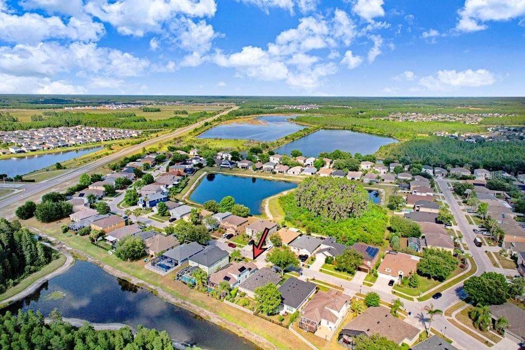 3915 Duke Firth Street, Land O Lakes, FL 34638 Photo