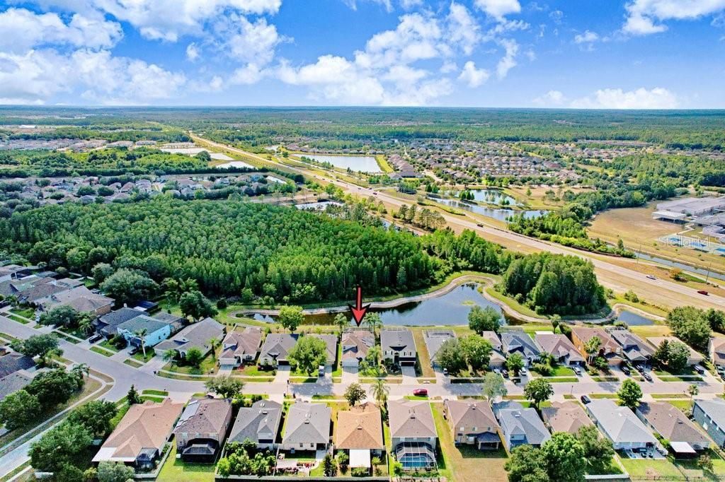 3915 Duke Firth Street, Land O Lakes, FL 34638 Photo