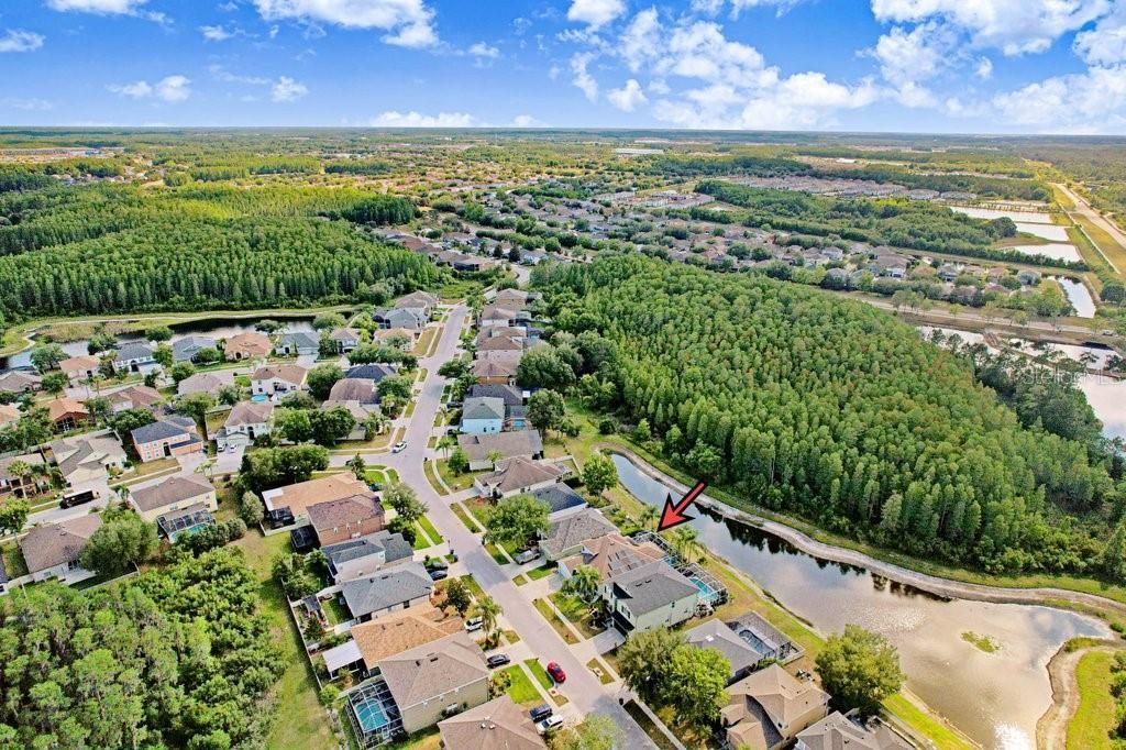 3915 Duke Firth Street, Land O Lakes, FL 34638 Photo