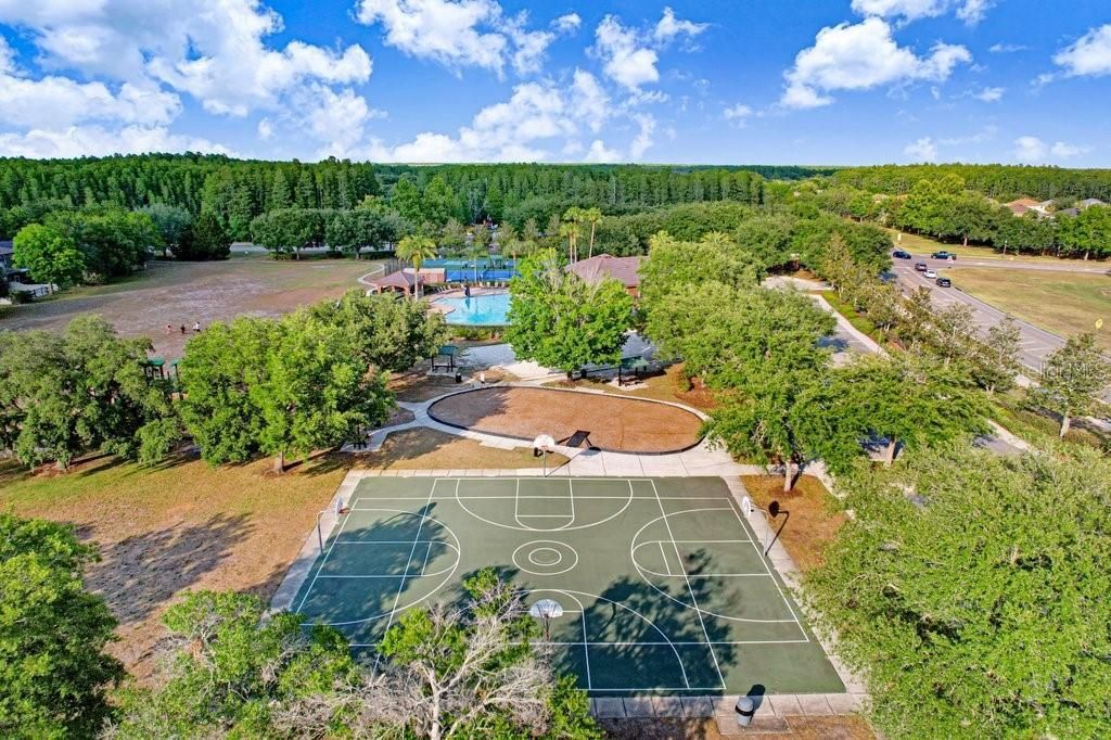 3915 Duke Firth Street, Land O Lakes, FL 34638 Photo