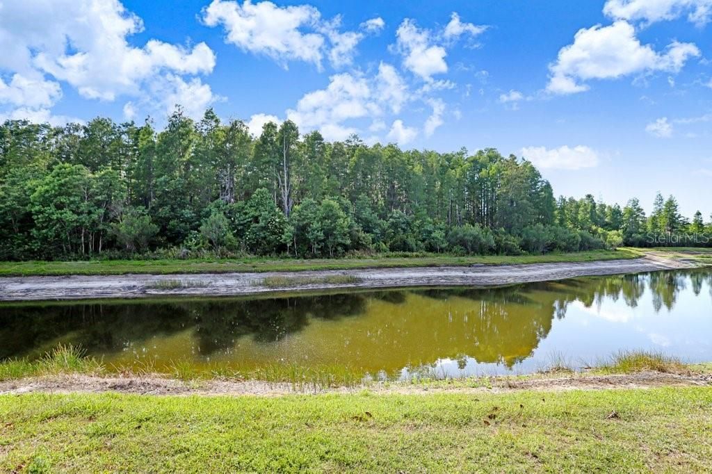 3915 Duke Firth Street, Land O Lakes, FL 34638 Photo