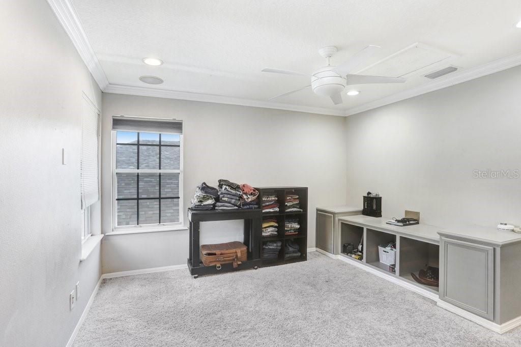 3915 Duke Firth Street, Land O Lakes, FL 34638 Photo
