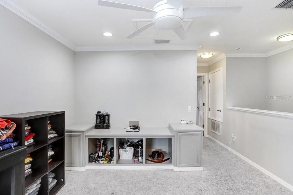 3915 Duke Firth Street, Land O Lakes, FL 34638 Photo