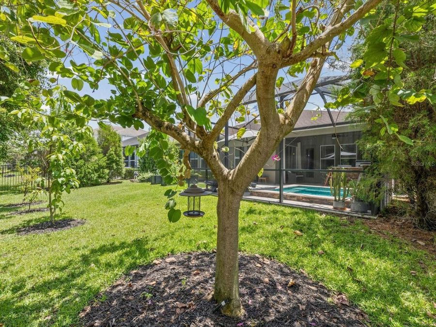 Property Image 47