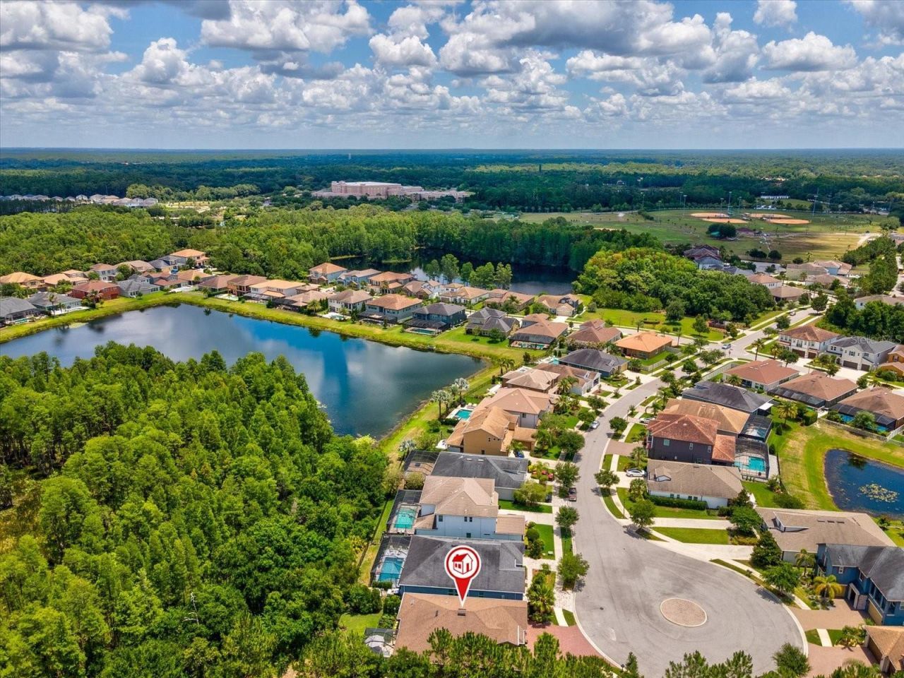 3719 Wicket Field Road , Lutz, FL 33548 Photo
