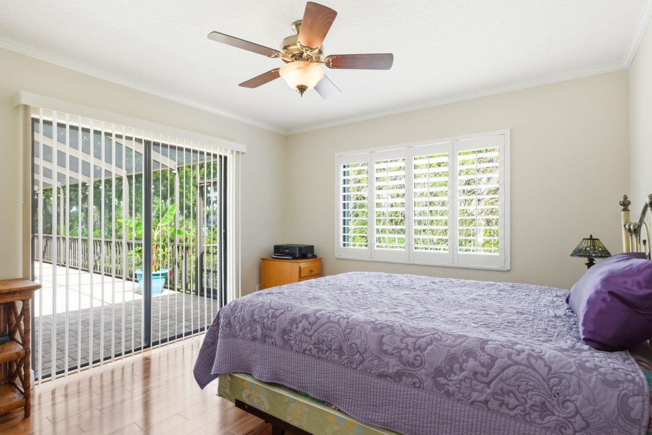 3930 Tarian Court , Palm Harbor, FL 34684 Photo