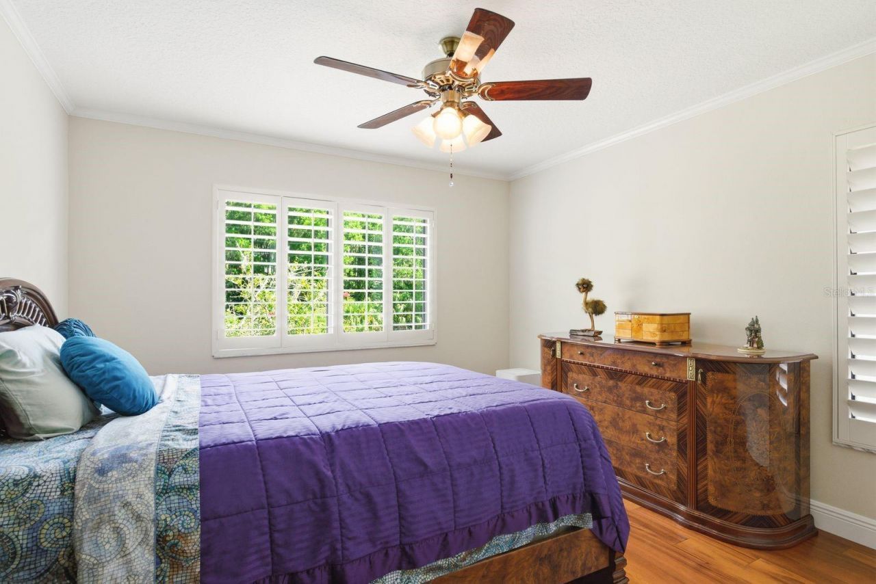 3930 Tarian Court , Palm Harbor, FL 34684 Photo