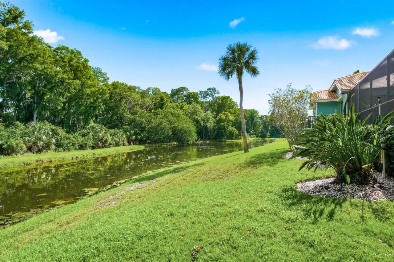 3930 Tarian Court , Palm Harbor, FL 34684 Photo