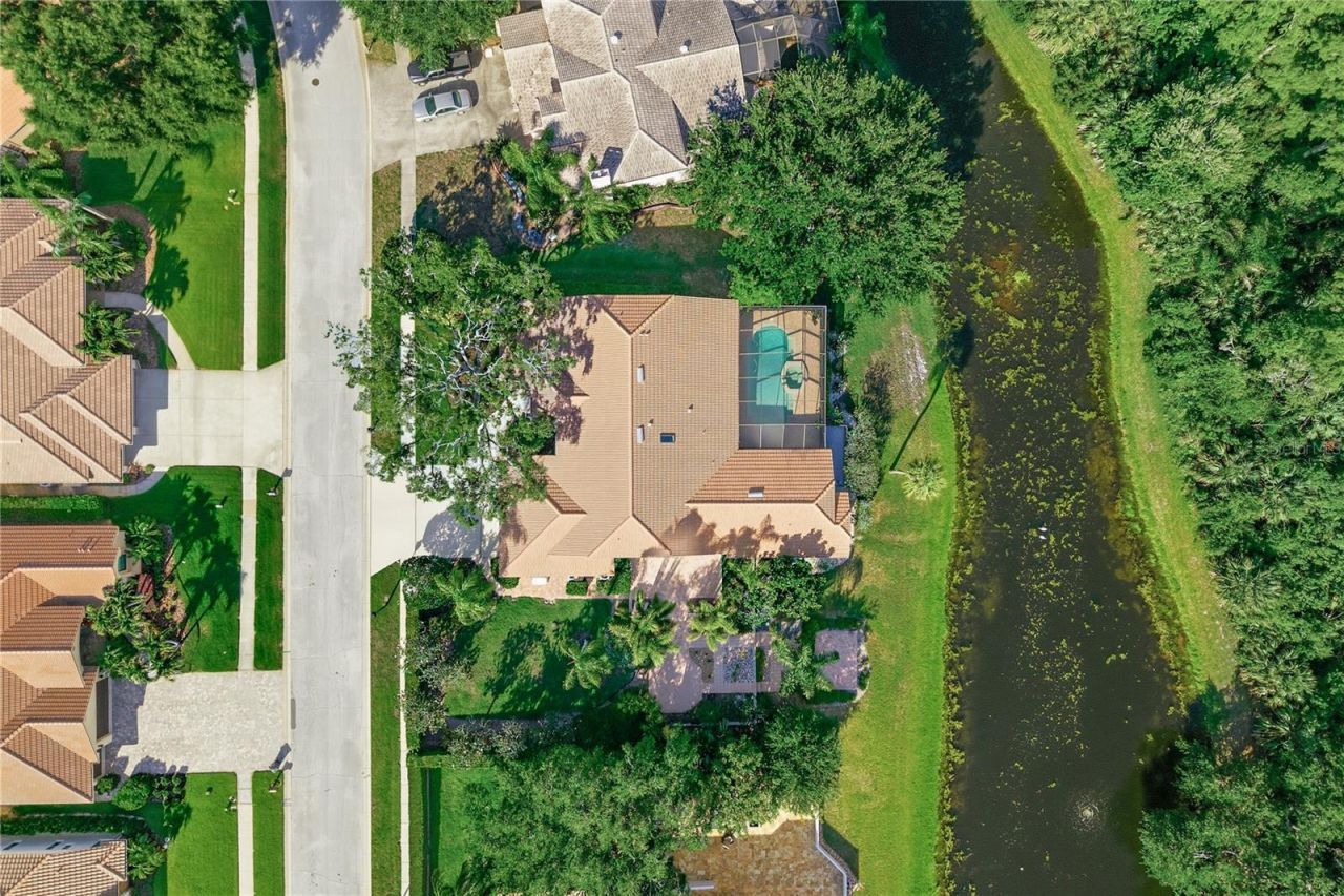 3930 Tarian Court , Palm Harbor, FL 34684 Photo