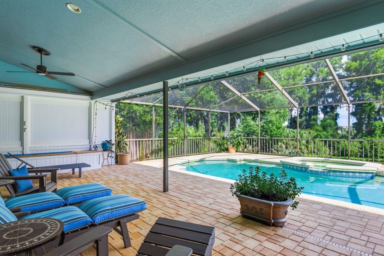 3930 Tarian Court , Palm Harbor, FL 34684 Photo