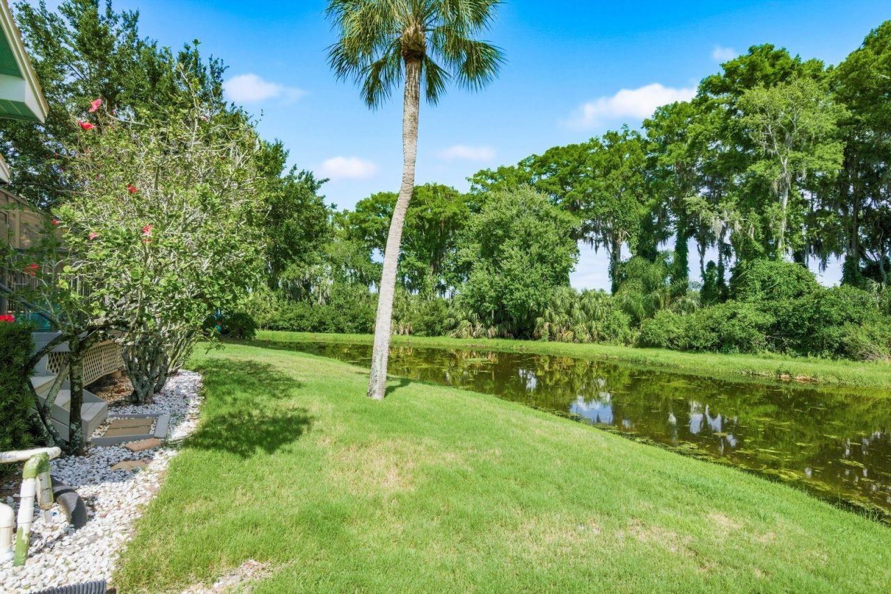 3930 Tarian Court , Palm Harbor, FL 34684 Photo