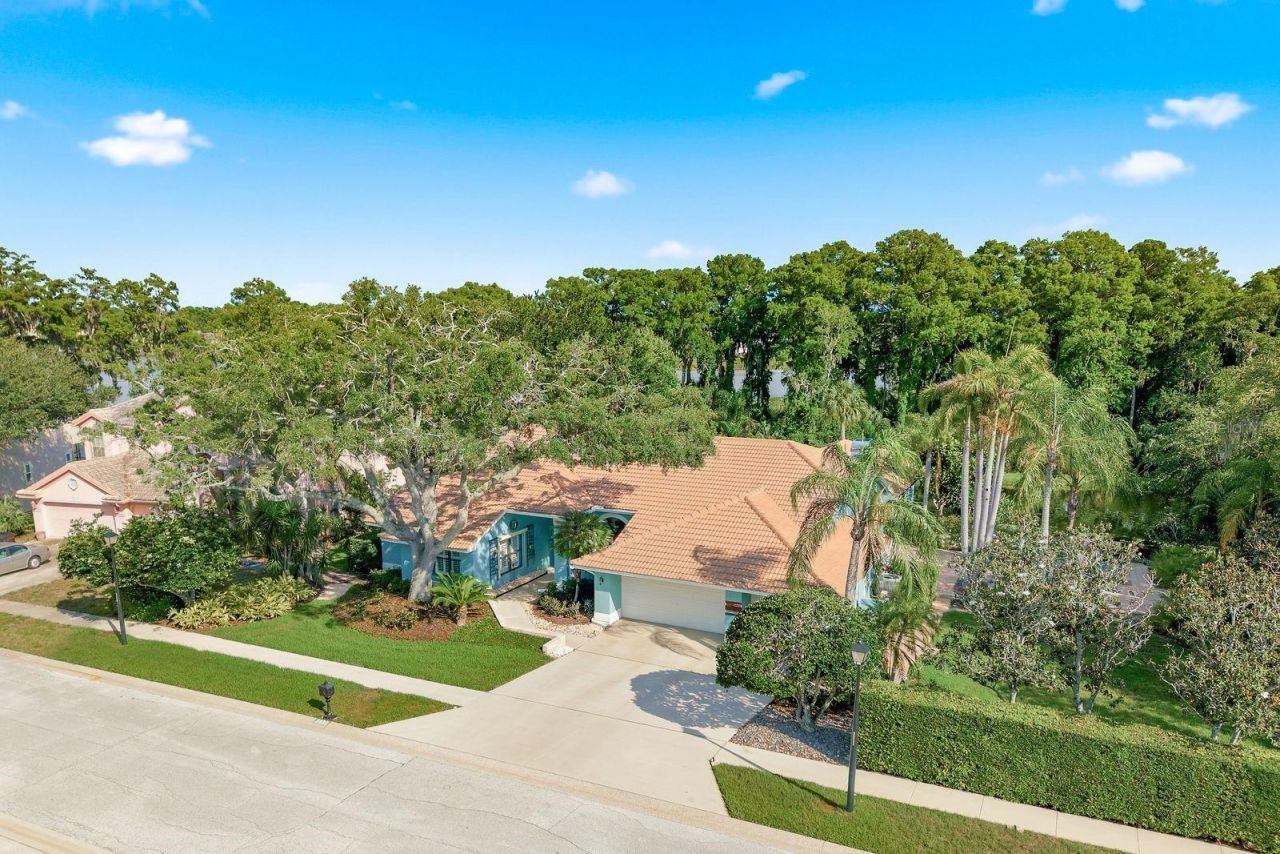 3930 Tarian Court , Palm Harbor, FL 34684 Photo