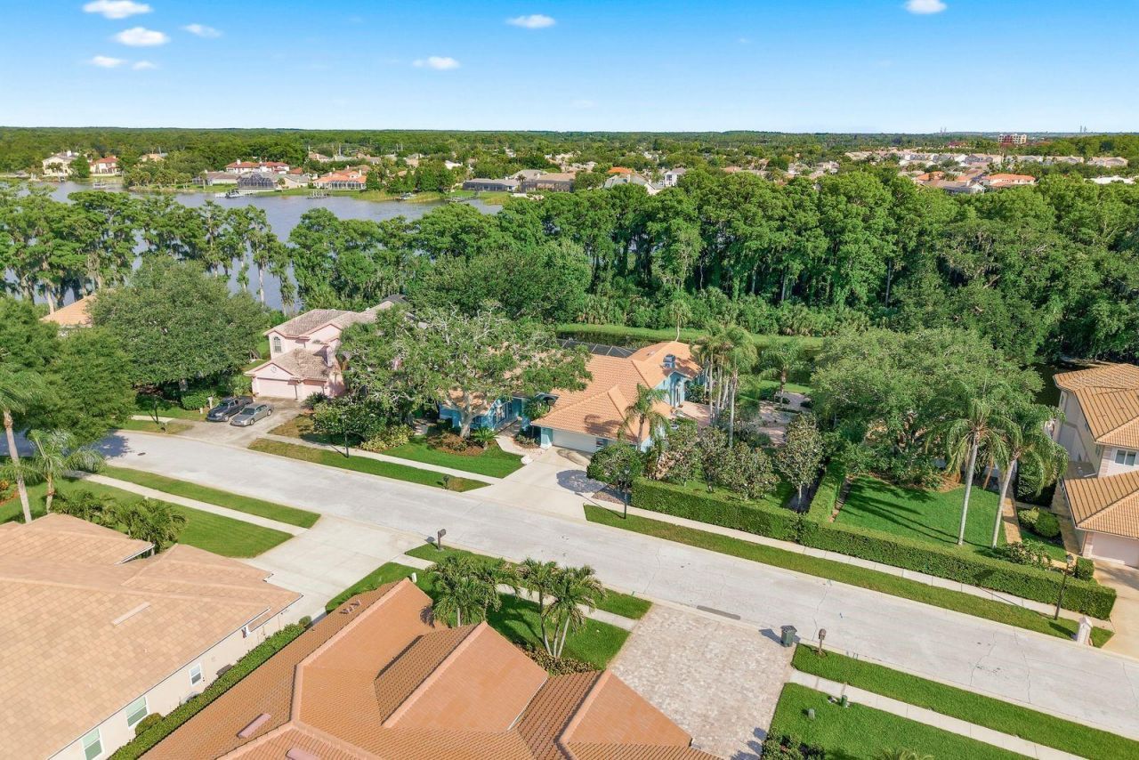 3930 Tarian Court , Palm Harbor, FL 34684 Photo