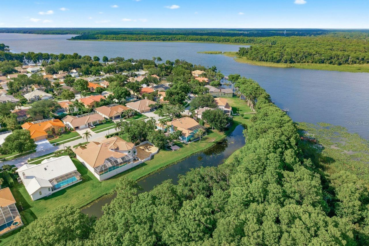 3930 Tarian Court , Palm Harbor, FL 34684 Photo