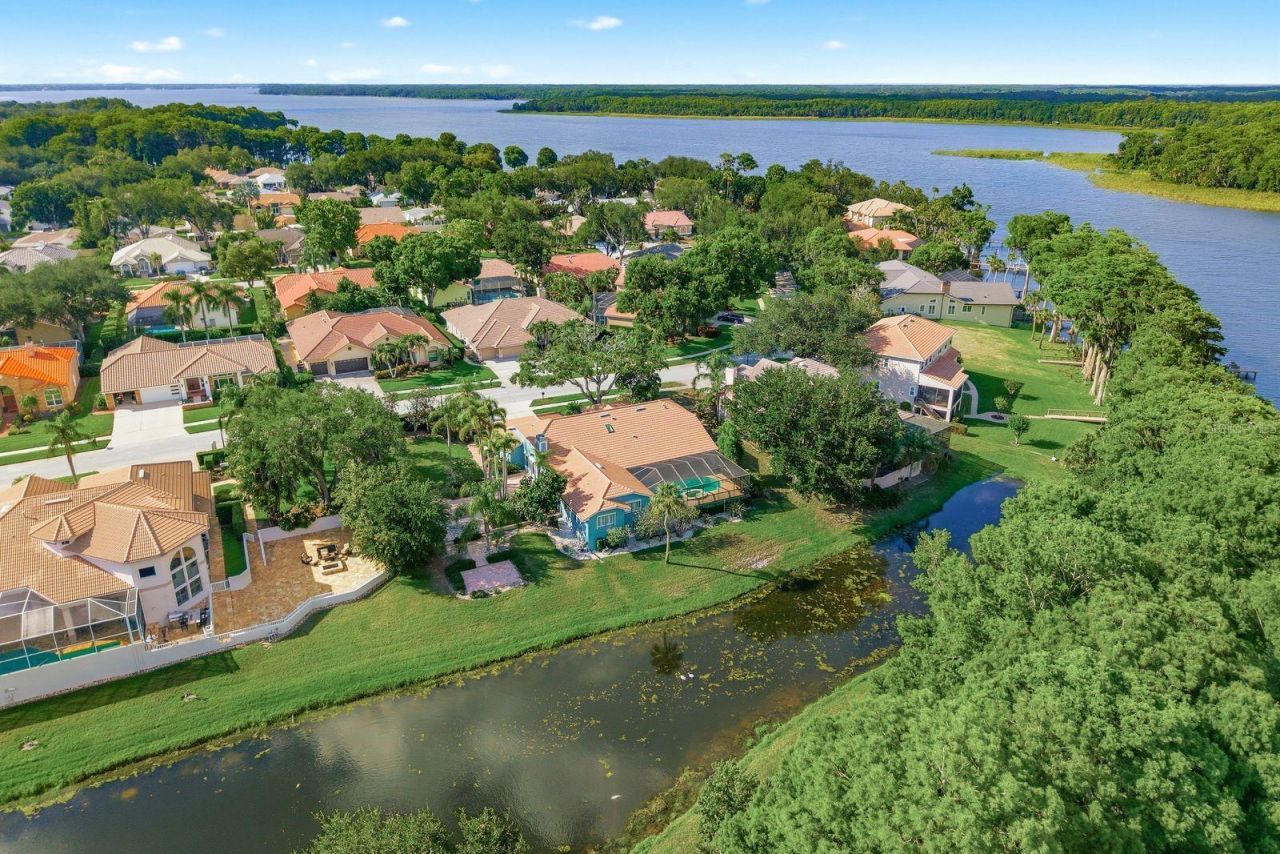 3930 Tarian Court , Palm Harbor, FL 34684 Photo