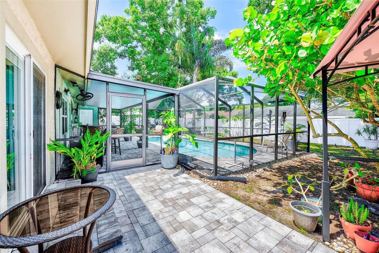 486 Belmist Court , Dunedin, FL 34698 Photo