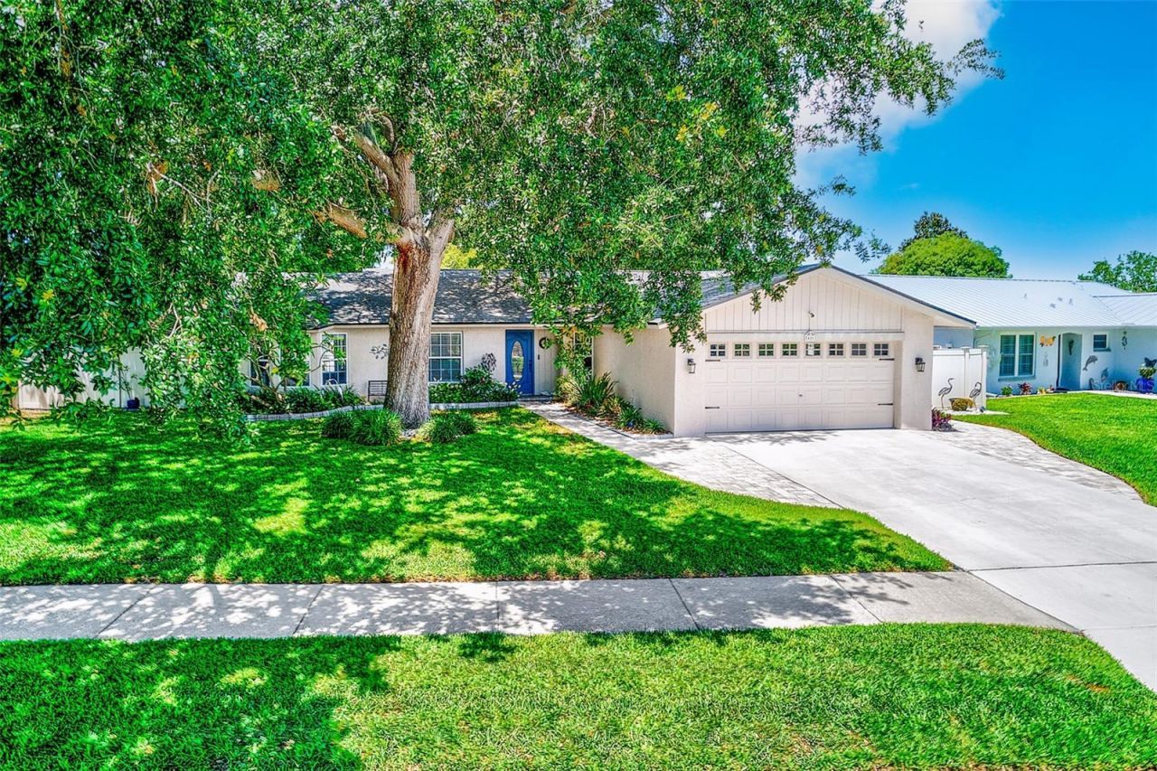 486 Belmist Court , Dunedin, FL 34698 Photo