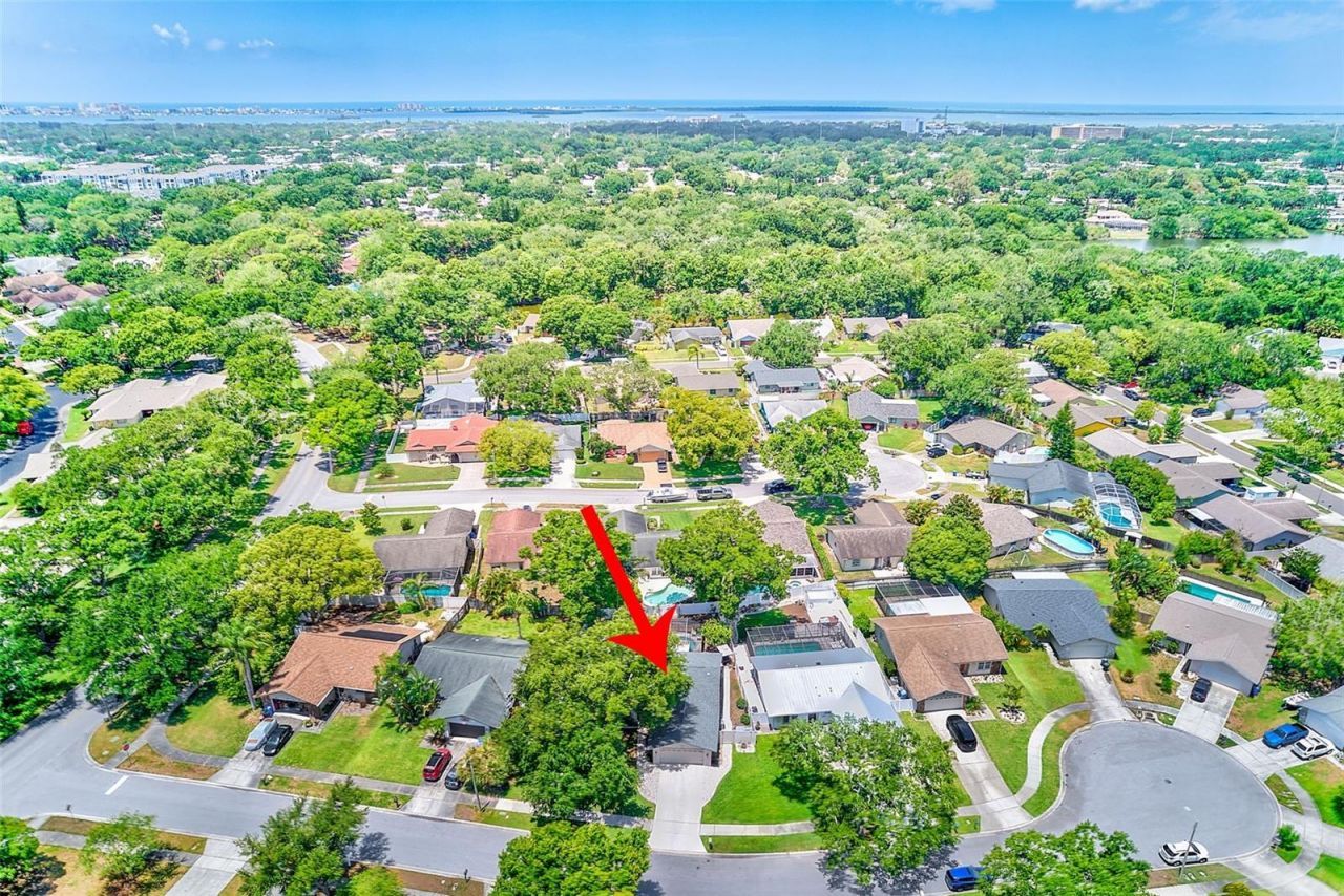 486 Belmist Court , Dunedin, FL 34698 Photo
