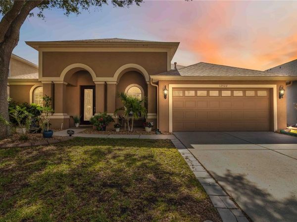 12522 BURGESS HILL DRIVE , RIVERVIEW, FL 33579