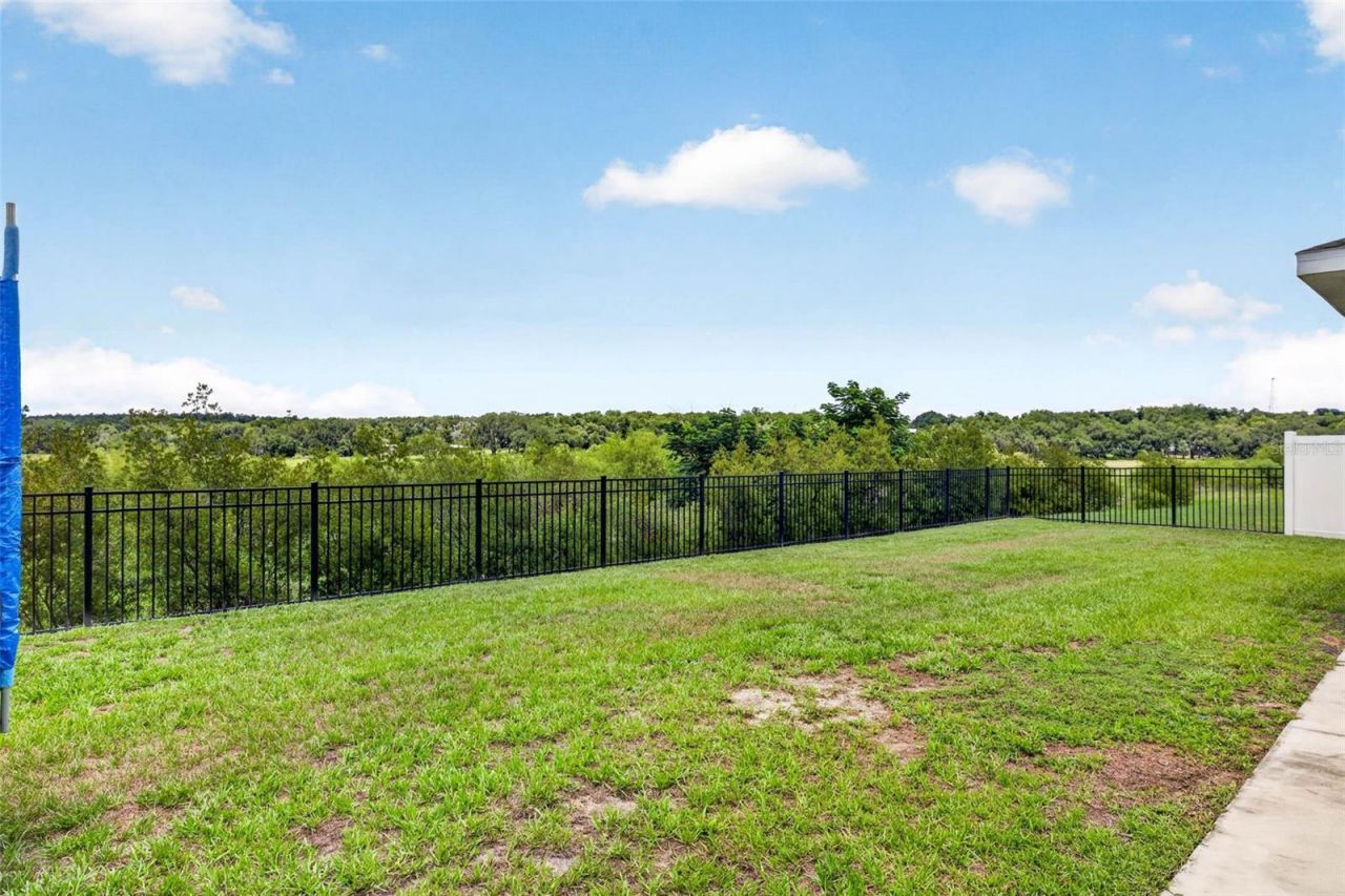13793 Wineberry Drive , Dade City, FL 33525 Photo
