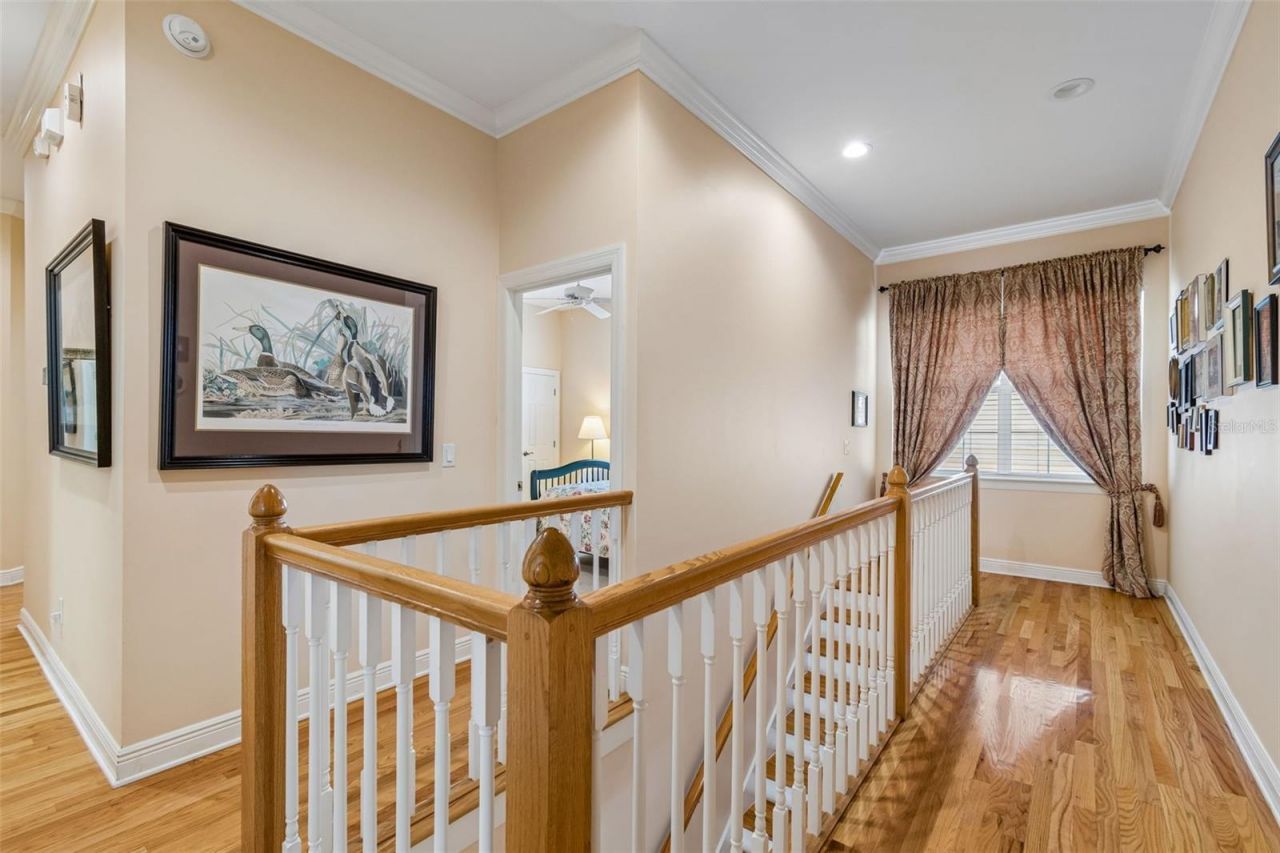 107 Bermuda Avenue , Tampa, FL 33606 Photo