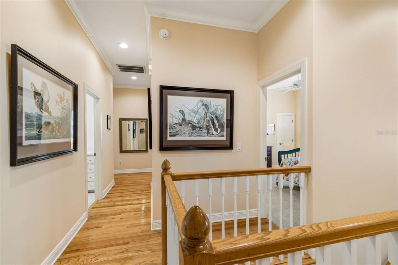 107 Bermuda Avenue , Tampa, FL 33606 Photo