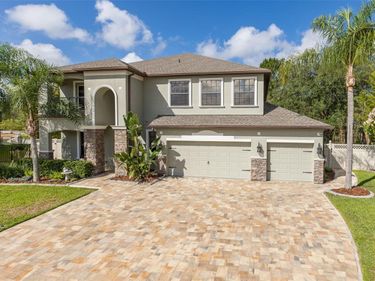 14810 NINEBARK COURT , LAND O LAKES, FL 34638