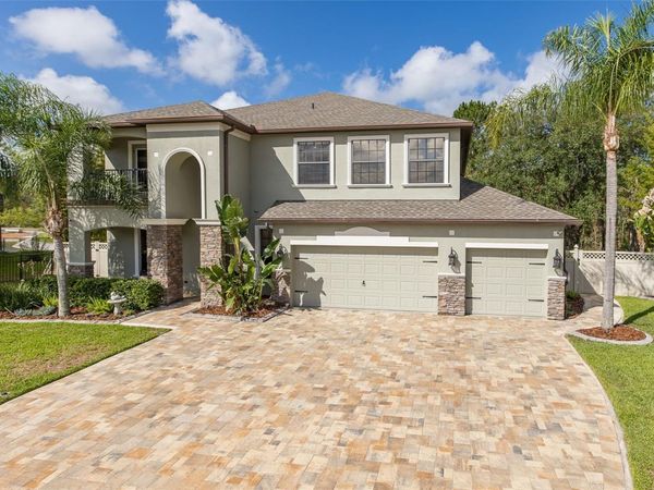 14810 NINEBARK COURT , LAND O LAKES, FL 34638