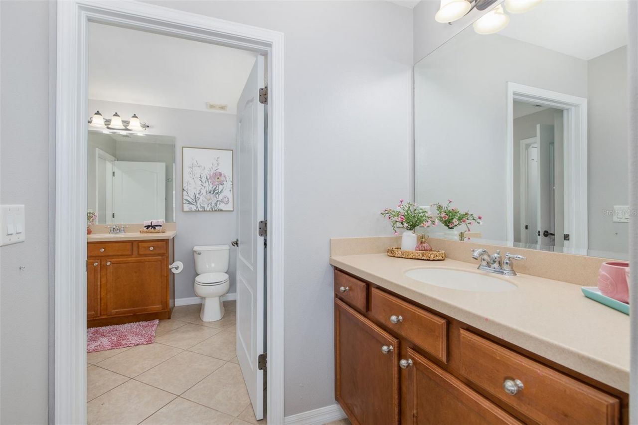 14810 Ninebark Court , Land O Lakes, FL 34638 Photo
