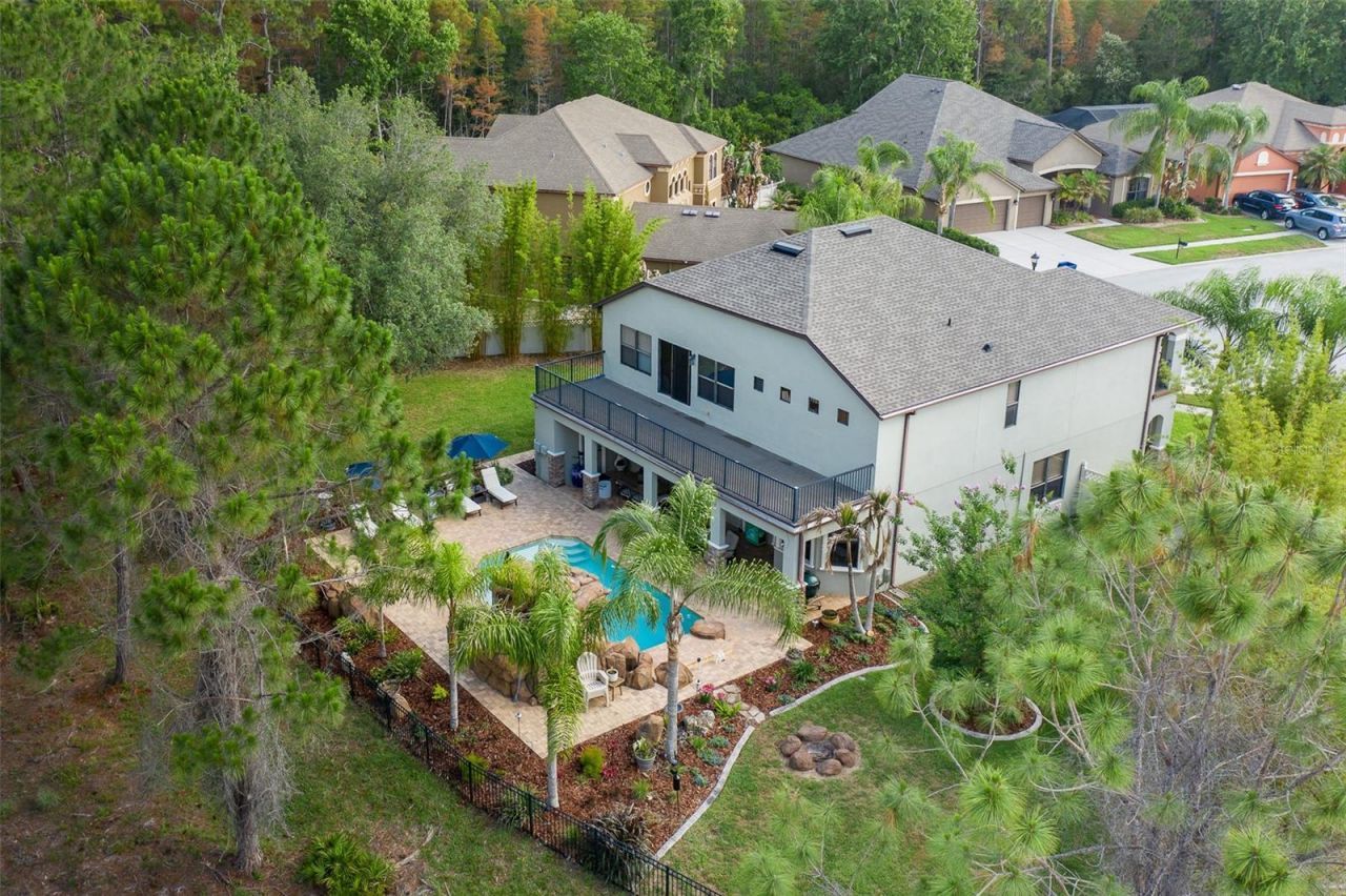 14810 Ninebark Court , Land O Lakes, FL 34638 Photo