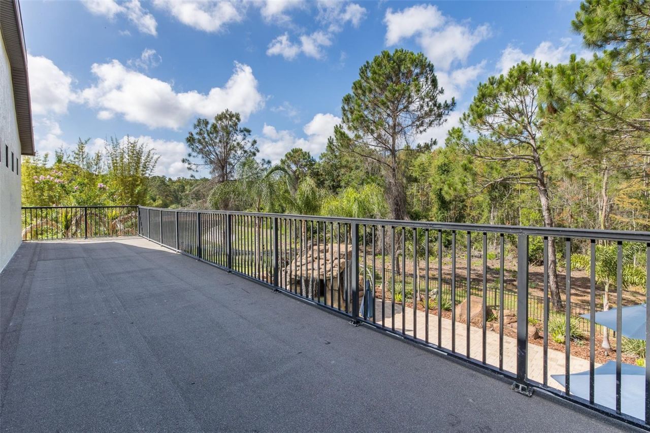 14810 Ninebark Court , Land O Lakes, FL 34638 Photo