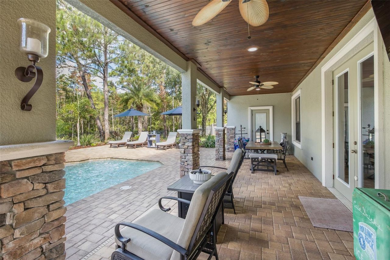 14810 Ninebark Court , Land O Lakes, FL 34638 Photo