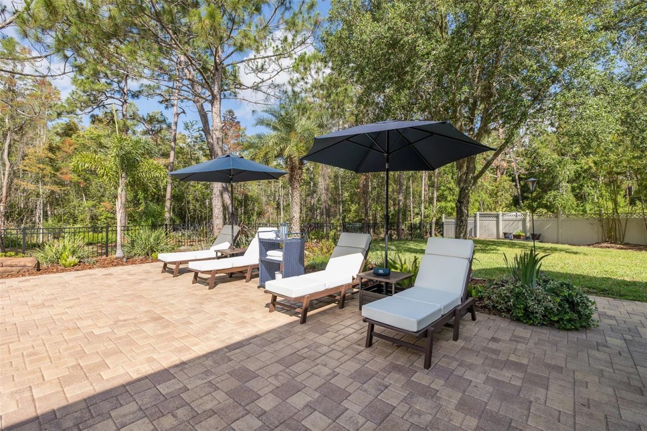 14810 Ninebark Court , Land O Lakes, FL 34638 Photo