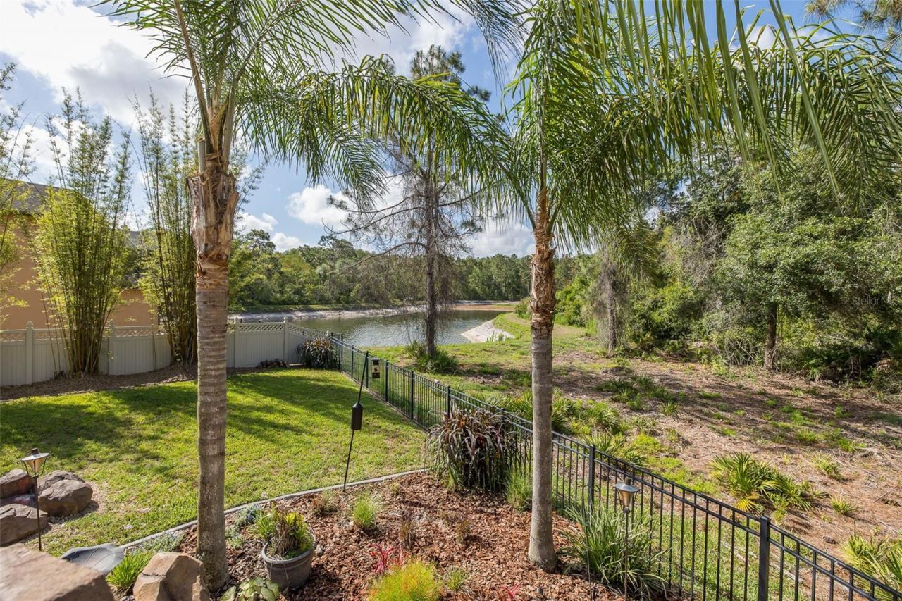 14810 Ninebark Court , Land O Lakes, FL 34638 Photo