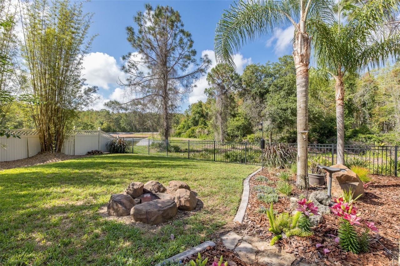 14810 Ninebark Court , Land O Lakes, FL 34638 Photo