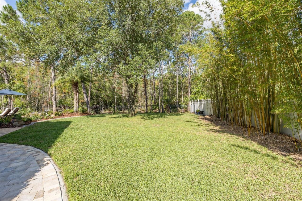 14810 Ninebark Court , Land O Lakes, FL 34638 Photo