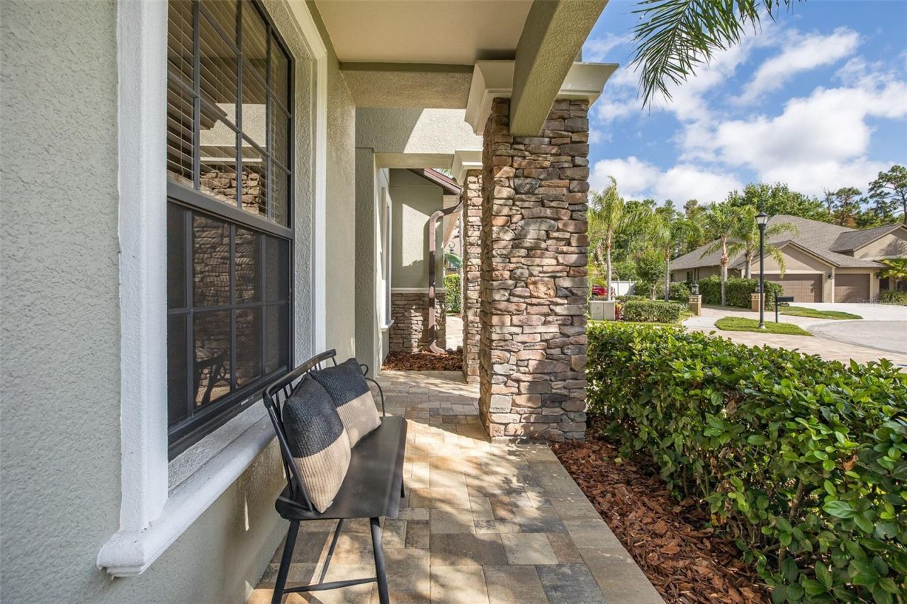 14810 Ninebark Court , Land O Lakes, FL 34638 Photo