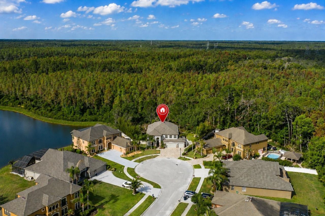 14810 Ninebark Court , Land O Lakes, FL 34638 Photo