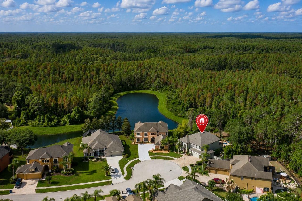 14810 Ninebark Court , Land O Lakes, FL 34638 Photo