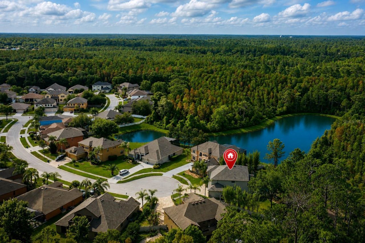 14810 Ninebark Court , Land O Lakes, FL 34638 Photo