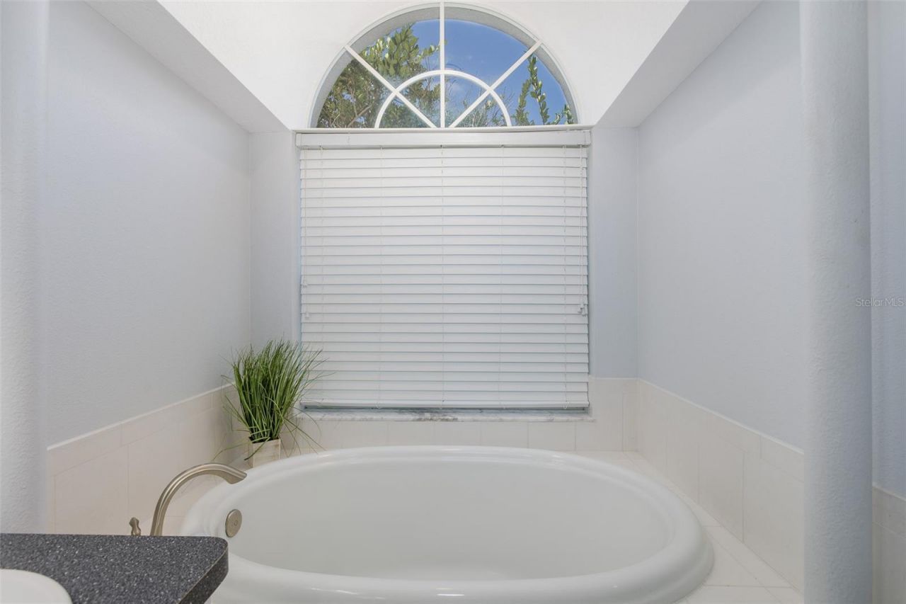 8918 Linebrook Drive , Trinity, FL 34655 Photo