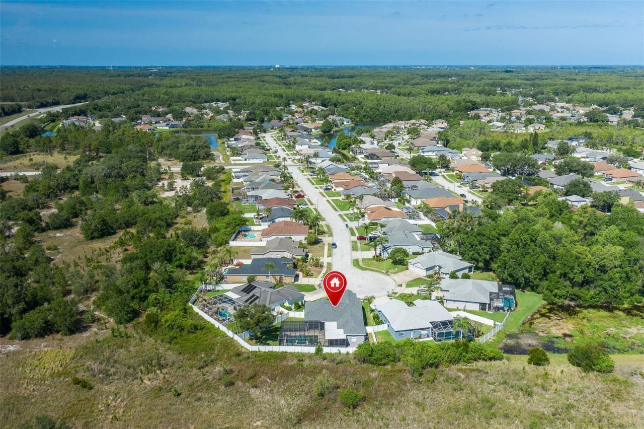 8918 Linebrook Drive , Trinity, FL 34655 Photo